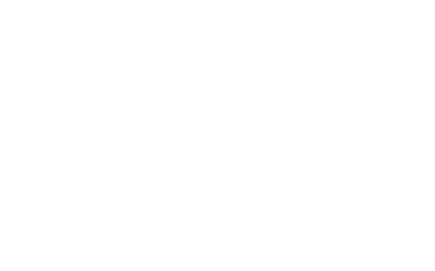 IVOX